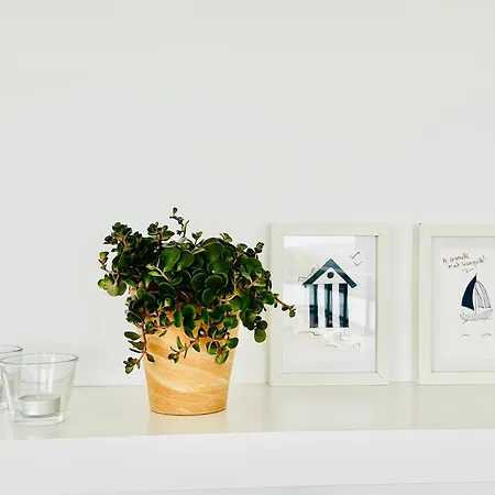 Le Refuge De Lalbatros Appartamento *