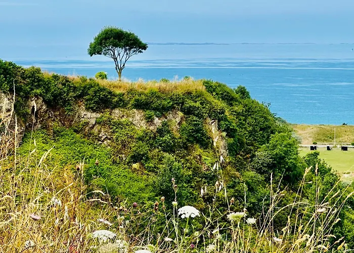 Apartamento Le Refuge De Lalbatros *